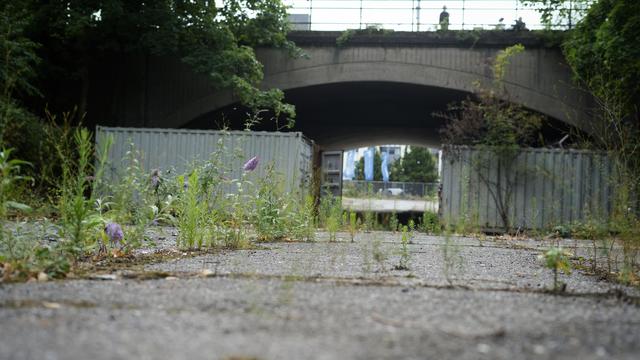 bridge from below, some abandoned containers in front