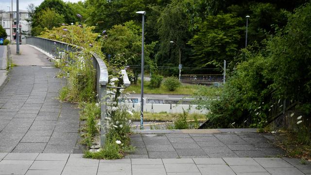 bridge stairway from the top, also looking along the bridge's railing which is overgrown with various blooming weeds