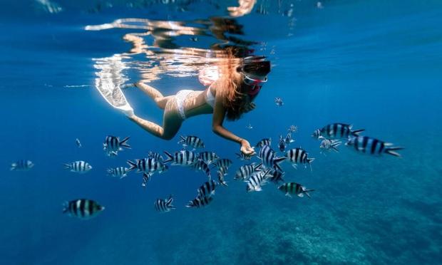 Una persona haciendo `snorkel´en el mar. ()