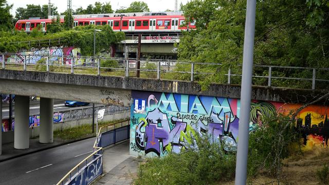 highway, train tracks, concrete pillars, multiple bridges, graffiti, a train on top of a bridge and jungle like vegetation — this photo has it all