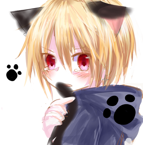 Catboy