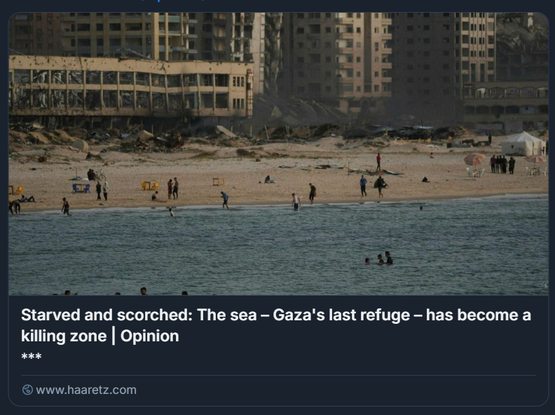 Palestinesi nuotano nel mare di Gaza City sullo sfondo degli edifici distrutti dai bombardamenti di maggio.
Il contrasto tra la scena balneare e le rovine urbane evidenzia la gravità della situazione. Testo sovrapposto: “Starved and scorched: The sea – Gaza's last refuge – has become a killing zone | Opinion”, con riferimento al sito web www.haaretz.com..

Foto: Jehad Alshrafi/AP