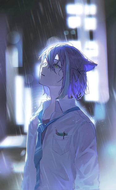 Catboy under rain