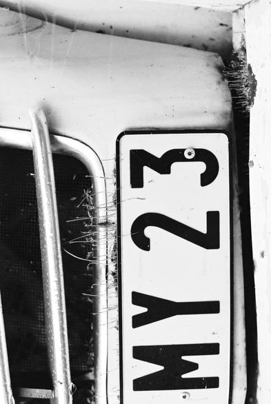 Close-up of the front of a 2CV -a famous and vintage popular French car, and part of its number plate reading 'MY 23', with dew-dropped grass growing behind the plate and on the bumper. (Version françæ) Grox plan sur l’avant d’æn 2CV et æn partie de saon plaque d’immatriculation (anciæn modèle) où on lit 'MY 23', avec des herbes gouttelæs de rosée qui poussent derrière læ plaque et sur læ parechoc.
