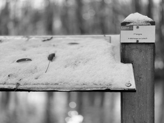 View of an educational panel along a hiking trail. The sloping main panel is covered in snow. The situation sticker on the post reads 'First puzzle'. Indeed. (Version françæ) Vue sur æn panneau pédagogique læ long d’æn sentier de balade. Læ panneau principalx, inclinæ, est recouverx de neige. Læ vignette de situation fixæ sur læ poteau indique '1ær énigme'. Effectivement.