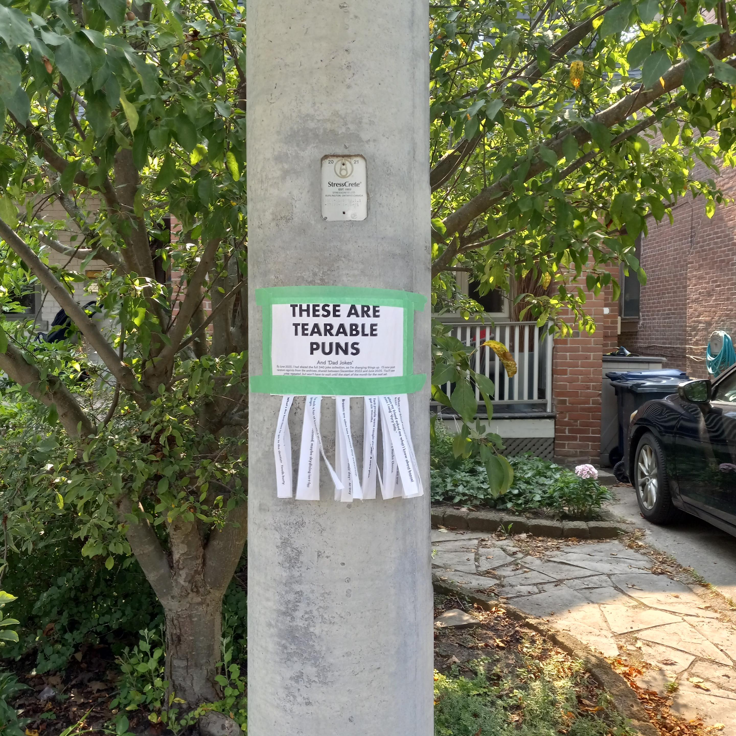 A printed paper sign attached to an electric pole with green masking tape in a front of a tree with houses and a car visible in the background. The sign has tabs hanging off for passersby to take. The sign reads: THESE ARE TEARABLE PUNS And 'Dad Jokes' By June 2025, I had shared the full 340 joke collection, so I'm changing things up. I'll now post random reprints from the archives, shared between December 2022 and June 2025. You'll see jokes repeated but won't have to wait until the start of the month for the next set.