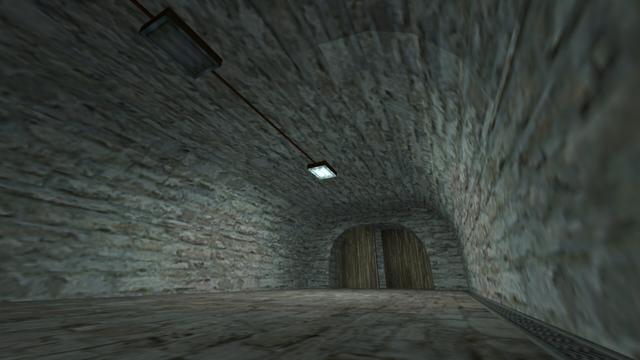 In this picture you can see a tunnel. At the end, you can see a double wooden door that is slightly open. On the ceiling are two flat white illuminated lamps, which are connected to each other with a black cable. This is on the map de_aztec in the game Counter-Strike 1.6.