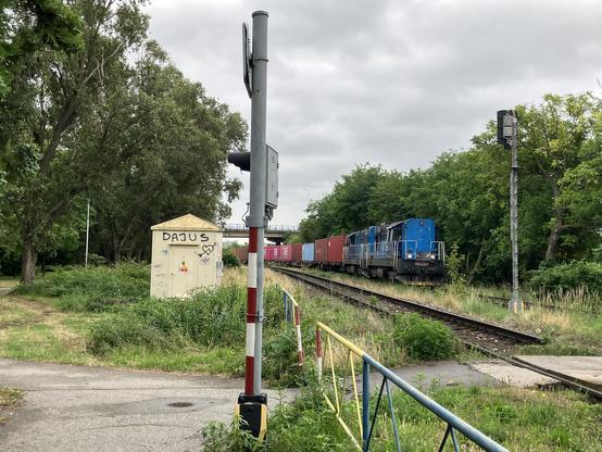 Two tracks with a level crossing. On one track there is a container train with two diesel locomotives in blue