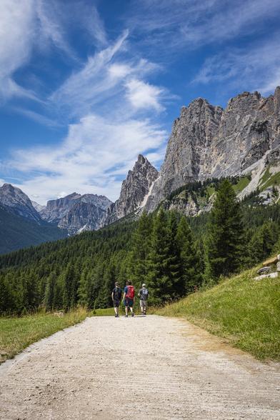 Three hikers are going down a stony path in a scenic Dolomites mountains landscape with layers of green grass, a forest of green fir trees, rocky mountain peaks and a dark blue sky ornated with brushed white clouds.