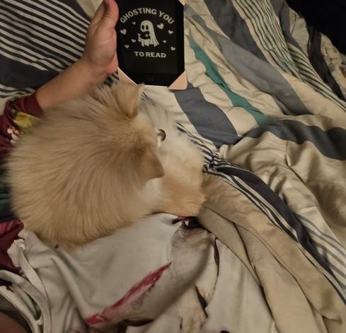 White dog curled up next to a body. The persons arm is around the dog holding up their ebook that shows a ghost reading and the words "Ghosting you to read"