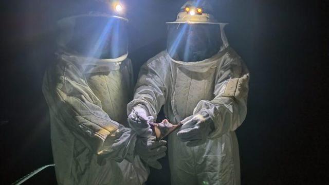 Imagem de capa da notícia, infelizmente por ser um bot hospedado gratuitamente, não consigo gerar texto alternativo!