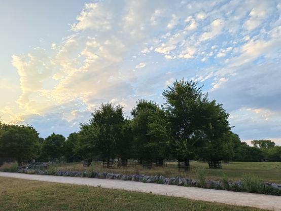 Photographie numérique couleur en format paysage.
Dans un parc avec une allée qui sépare 2 prairies, des groupes d'arbres de différentes tailles.
Le ciel est bleu avec des nuages blancs étirés et éclairés à gauche par le soleil couchant.