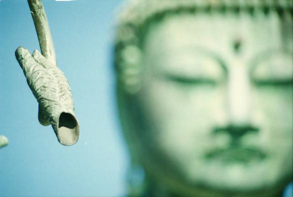 Photo of lotus leaf in front of budd statue