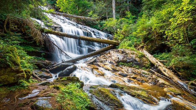 Das Bild zeigt eine wunderschöne Naturaufnahme eines Wasserfalls in einem üppig bewaldeten Gebiet. Das Wasser fließt in mehreren Kaskaden über dunkle, glatte Felsen nach unten. Die Belichtungszeit des Fotos ist lang gewählt, was dem Wasser einen seidig-weichen, fast nebelhaften Effekt verleiht. Zwei große, umgestürzte Baumstämme liegen quer über den Wasserfall, was dem Bild eine zusätzliche Tiefe und Dramatik verleiht. Das gesamte Gebiet ist sehr grün und dicht bewachsen – Farne, Moose, Sträucher und hohe Bäume umgeben den Wasserfall und verleihen dem Ort eine fast mystische Atmosphäre. Sonnenlicht fällt durch das Blätterdach und beleuchtet stellenweise das Wasser und die Pflanzen, was dem Bild lebendige Farben und Kontraste verleiht. Im Vordergrund sieht man nasse, mit Moos bewachsene Steine und Wurzeln. Insgesamt vermittelt das Bild eine friedliche, frische und naturverbundene Stimmung.