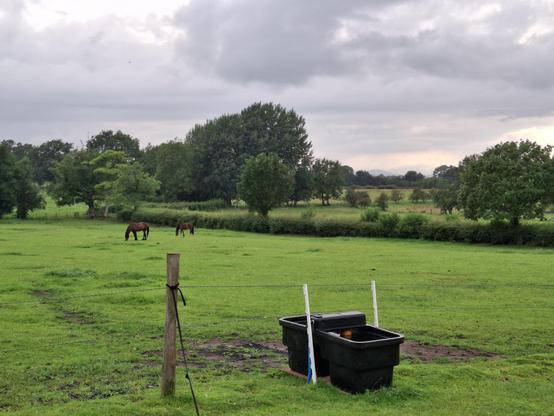 Picture of a grassy field with two horses. There are trees beyond the field, and a cloudy sky above. There's an electric fence and a teough in the forefront.