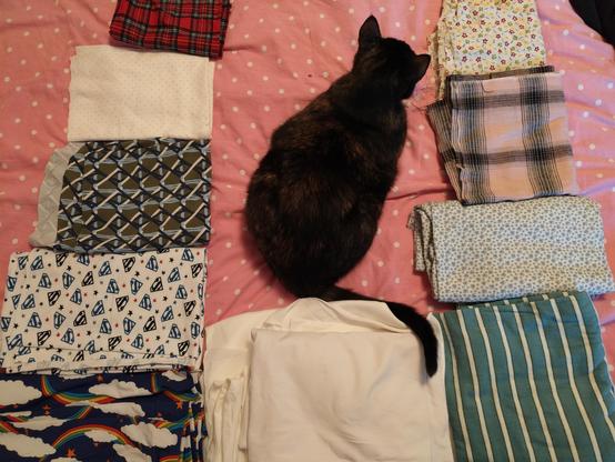 the same bed now has fabrics laid out in a U shape around a tortoiseshell cat who is loafing with her face away from the camera. the left column is all knit fabrics and are: a standard red tartan pattern, white with small pink polkadots, a geometric pattern in green and blue, white with superman logos in blue and black, and blue with white clouds that have rainbows going between them. at the bottom of the U is a pile of several pieces of white knit with different feels. the right column is all woven fabric and are: a very flowy light yellow fabric with small flowers, a thin pink and black plaid, a rougher light fabric with small flowers, and a green flannel with white stripes.