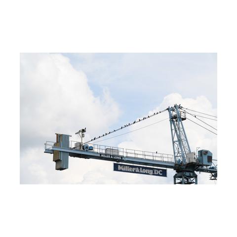 Photo of a crane with a band of crows sitting on the cables connecting the counterweight.