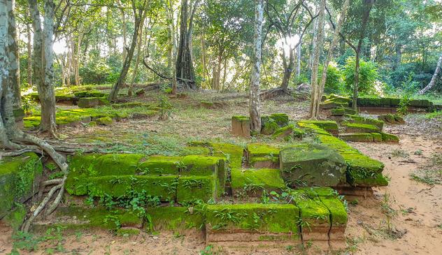 Photo shows a forest like floor with remains of structures of former dockside buildings, stairs and docking area. The historic remains are covered by green moss and vegetation. The rest is ordinary earth and grass, and a few trees spread out. In the background there are jungle like forest. Through the green foliage and in open areas between the trees there is a lightly clouded sky with some spots of sun rays.