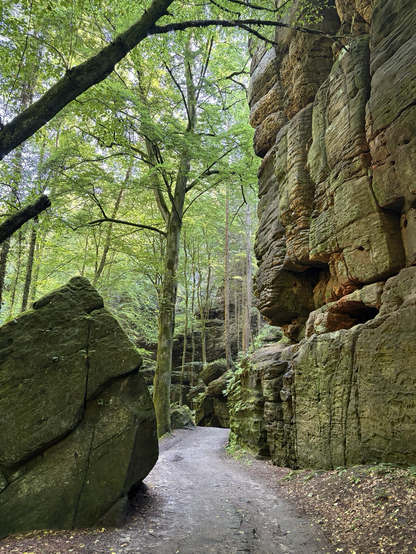 Sandstone formations along the Malerweg (painter’s trail)