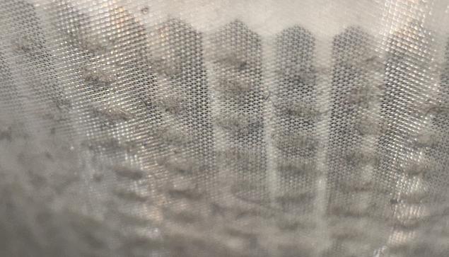 Nahaufnahme: HEPA13-Filter vom Levoit Core 300 von der Seite fotografiert: Man sieht die Staubansammlungen am Vorfilter.