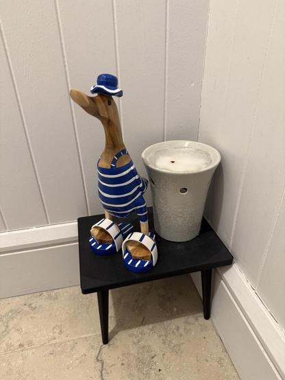 Cute duck in French old style swimming suit and flip flops