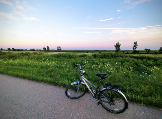 A photo of my silver bicycle stopped on a paved trail. There's wildflowers on the edge of the trail, fields trailing off into the distance and a few trees dotted about. The sky is mostly clear with a few clouds and the first colors peeking across the sky of an impending sunset