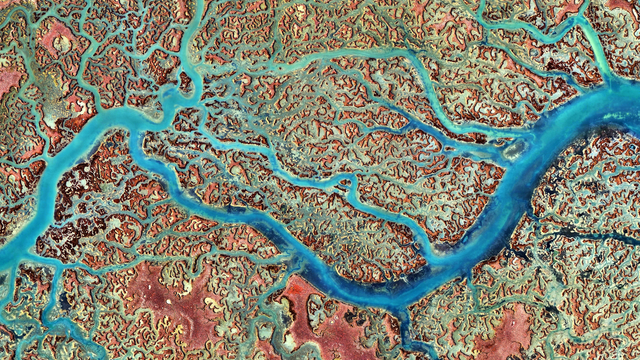 A satellite picture of a swampy tidal area with a vibrant blue river with many arms snaking through some brownish marshland.
