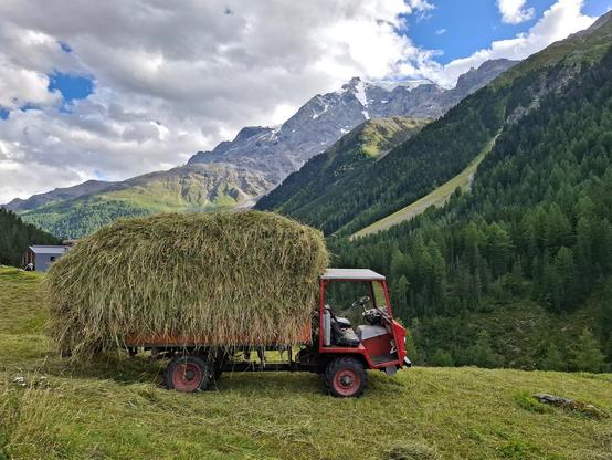 A small red off-road tractor with a flatbed trailer stacked high with freshly harvested hay stands on a steep mountain meadow. In the background rise rugged alpine peaks, some still capped with a glacier, and densely forested slopes of dark green conifer trees. A few scattered clouds break up the blue sky, with sunlight casting soft highlights on the mountain ridges. A solitary building is visible to the left.