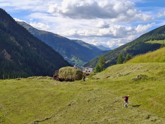 A rural alpine scene showing several people collecting hay by hand on a steep mountain meadow. A small red tractor loaded with a large pile of hay stands on a grassy slope. One person sits atop the haystack while two others work nearby with pitchforks. A third person is in the foreground, raking hay. The background features dramatic, forested mountain slopes with a deep valley stretching into the distance under a partly cloudy blue sky