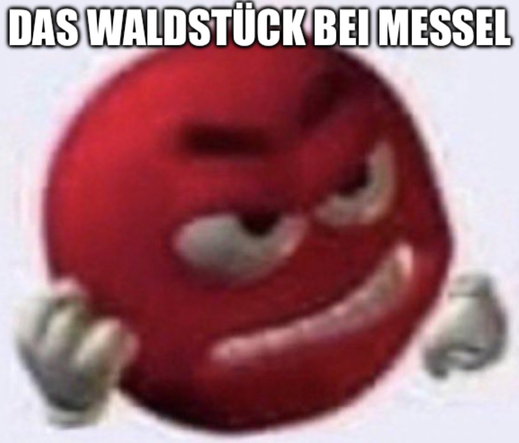 Ein Meme eines wütenden Emojis Darüber der Text: Das Waldstück bei Messel