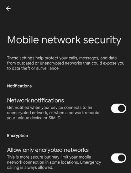 An accidentally exposed menu for mobile network security in an early beta of Android 16. There are two sections: the first is for network notifications, the second for encryption.