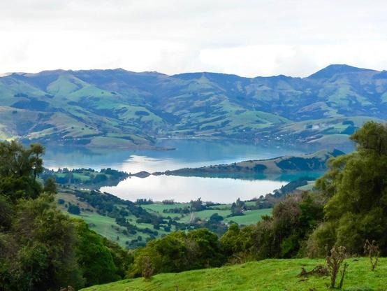 View from Akaroa: green hills and water in front. Seen from above, standing on a hill