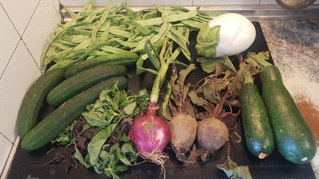 Contenido de la cesta de la semana sobre una encimera de cocina.
A la izquierda, abajo pepinos y arriba judías verdes.
En el centro, un manojo de albahaca, una cebolla roja y dos remolachas.
Y a la derecha, abajo unos calabacines verdes y encima una berenjena blanca.