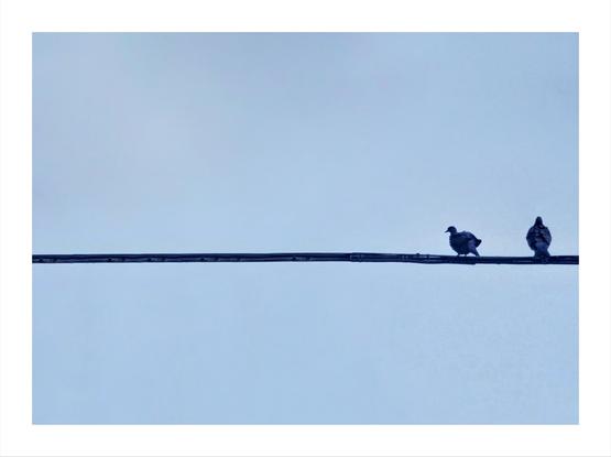 The photo is of two dark-coloured birds, (pigeons), perched on a thin, dark wire against a pale blue sky.  The birds are on the right hand side of the image and are silhouetted against the sky. The wire is in the centre of the photo horizontally and continues on to reach the other side.