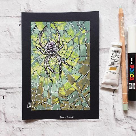 A small drawing of an Orb Weaver spider on a web, with a background of greens and browns on black paper.
There are many different species of Orb Weavers world wide, They are the most common group of builders of spiral wheel-shaped webs often found in gardens, fields, and forests.
An original art work
Colour pencil and mixed media on acid free toned artist paper
5 by 7 inches (12.7 by 17.8 cm).
Sold unframed