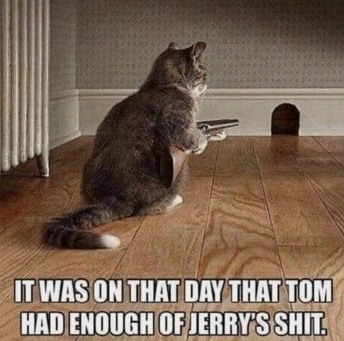 A cat with his back to us (gray tiger with white paws) aims a long gun at an arched mouse hole across the room. Captioned: IT WAS ON THAT DAY THAT TOM HAD ENOUGH OF JERRY'S SHIT.