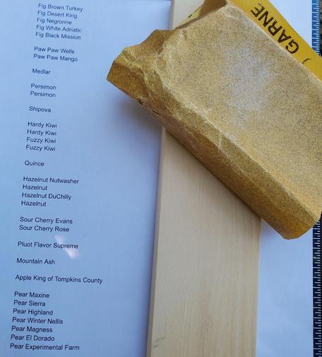 Close-up shot focusing on a partial view of a white printed list of fruit varieties. A three-dimensional sanding block made by "GARNE" sits on right of a light-toned wood board, which is lying on the left. A black-and-white ruler is on the right