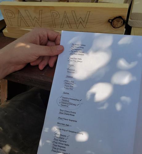 A person's hand is shown holding a checklist of various fruit and nut tree varieties, including figs, pawpaws, kiwis, hazelnuts, cherries, and pears, with checkmarks indicating selections. Beside the list is a light-colored wooden sign or marker with the words "PAW PAW" penciled on it.