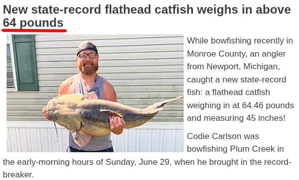New State-record flathead catfish weighs in above 64 pounds.

A man wearing a beany cap, black rimmed glasses, a beard, and a tank top holds a flathead catfish the size of a small child in his arms.

He caught it while bowfishing in Monroe County, Mi.

64.46 pounds and measuring 45 inches!