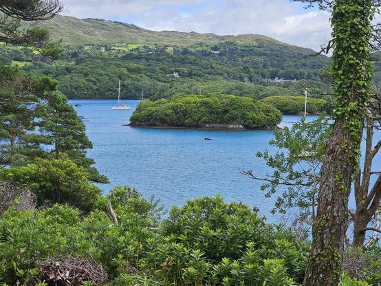 Looking through trees at a bay with a little island in the middle and a sailing boot left of it. Many green surrounds blue water