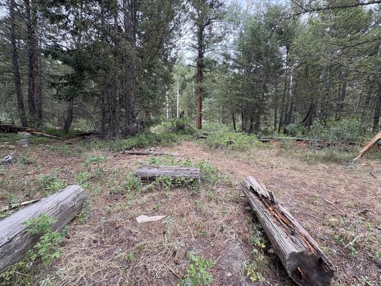 Near the alluvial fan in Rocky Mountain National Park, I was looking for a little shade/seating and found this.