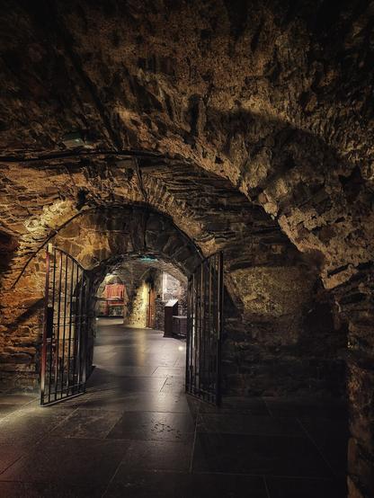 A long, dark, and atmospheric stone crypt within Christ Church Cathedral in Dublin. The vaulted ceiling and walls are made of rough, ancient stone, illuminated by subtle, warm lighting that creates deep shadows. Several open black metal gates line the path, leading further into the crypt. The floor is made of dark, smooth flagstones, reflecting some of the ambient light. The scene evokes a sense of history and solemnity.