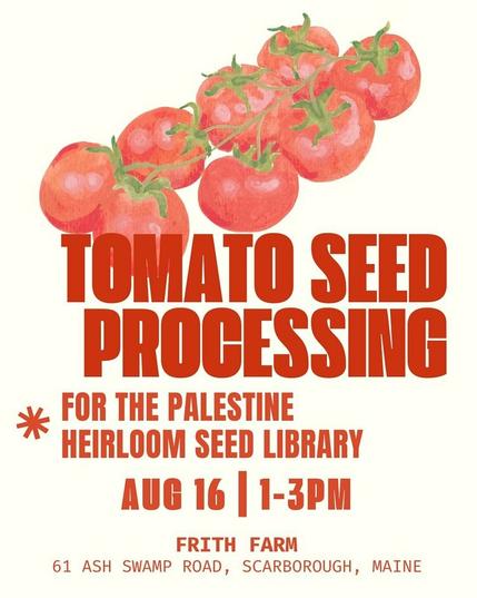 A flyer for an event. At the top of the flyer is a painting of tomatoes on the vine.

Text:
Tomato Seed Processing

For the Palestine Heirloom Seed Library

Aug 16 1-3pm

Frith Farm
61 Ash Swamp Road, Scarborough Maine
