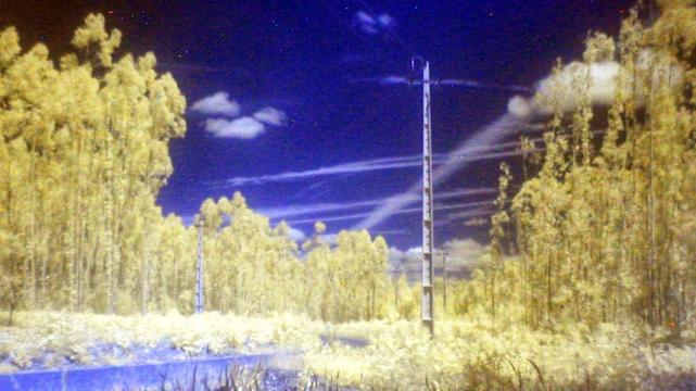 A channel mixed image of the remains of our local woods.