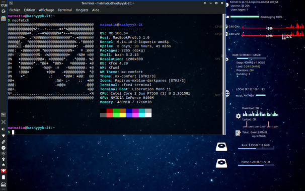 Capture d'écran : le néoftech qui affiche les spec du macbook, sous MxLinux