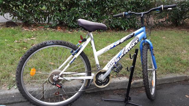 VTT à col de cygne après décrassage, lubrification et peinture.