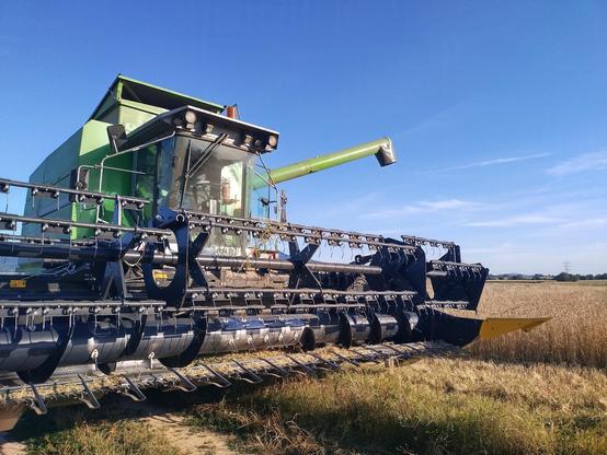Ein großer grüner Mähdrescher steht am Rand eines Getreidefeldes. Vorne ist ein breites Schneidwerk mit scharfen Zinken zu sehen, das zum Ernten dient. Die Kabine aus Glas ist mittig, darüber sind mehrere Lampen. Hinten ragt ein langes grünes Rohr schräg nach oben – es dient zum Entladen des geernteten Korns. Das Feld ist reif zum Ernten, der Himmel ist klar und blau.