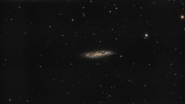 Ein Bild des Nachthimmels mit einem dichten Sternenfeld und einer markanten Spiralgalaxie, die fast genau von der Seite zu sehen ist und sich zentral im Bild befindet. Die Galaxie erscheint länglich mit einem hellen zentralen Wulst und schwachen Spiralarmen. Der Hintergrund ist dunkel und von unterschiedlich hellen und farbigen Sternen durchzogen.