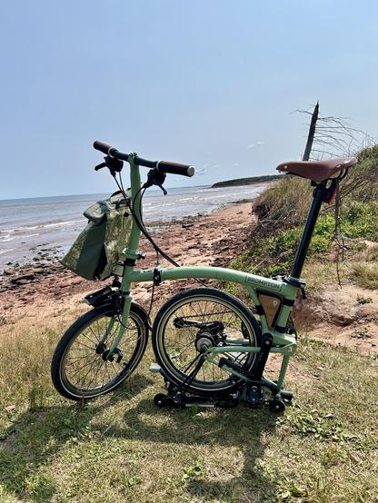 Mon Petit Chou (My Little Cabbage) green folding bike on Robinson’s Island