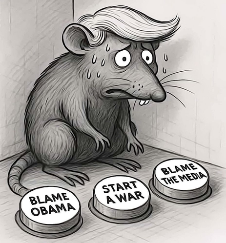 A Trumpian Rat backed in a corner with three choices to get out.'
Blame Obama, Start a War or Blame Media . All to deflect from the Epstein mess.